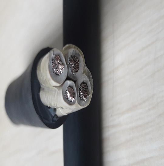 船用起重機(jī)電纜有什么特點(diǎn) 船用起重機(jī)電纜有什么特點(diǎn)